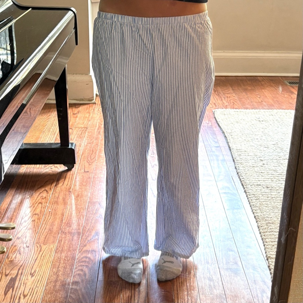 Zara Blue Stripe Low Rise Pants